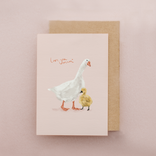 Ducks