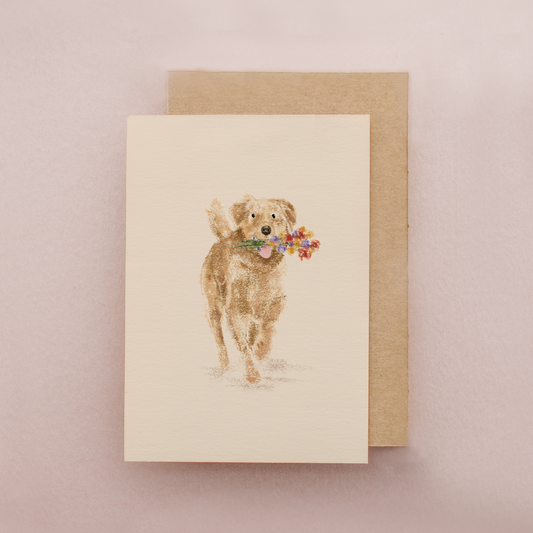 Golden Retriever