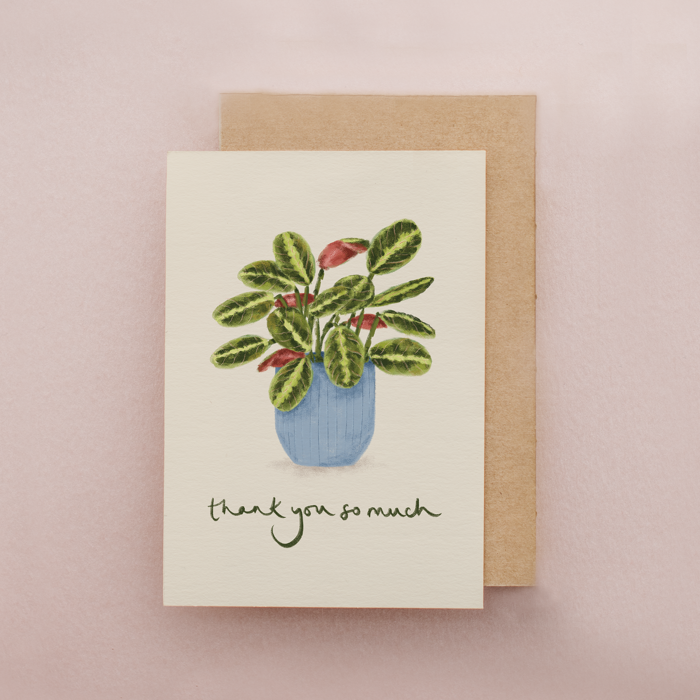 House Plant