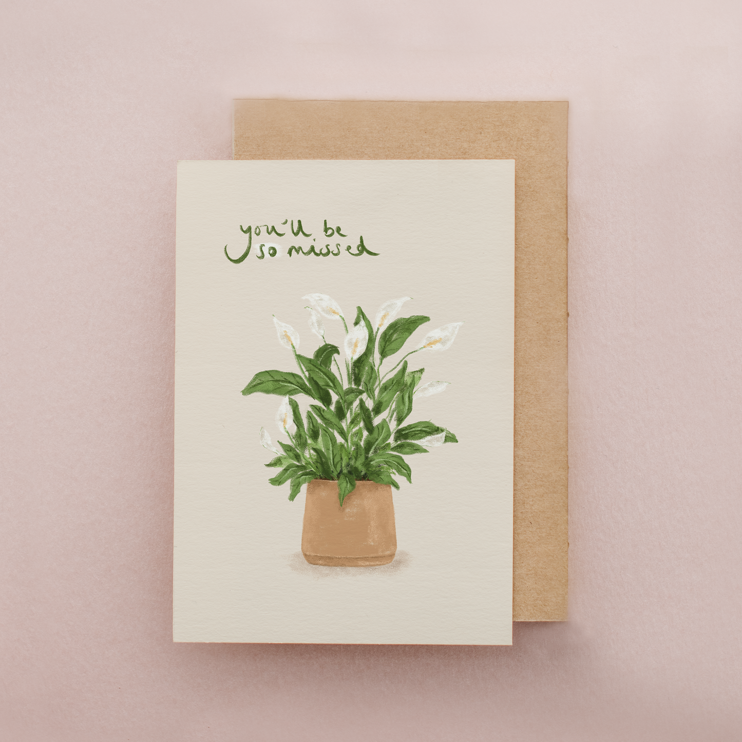 Peace Lily