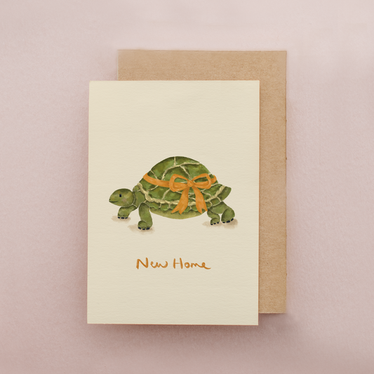 Tortoise